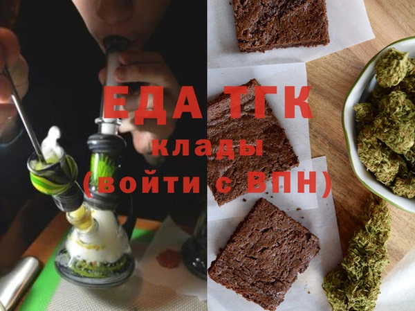 индика Вяземский
